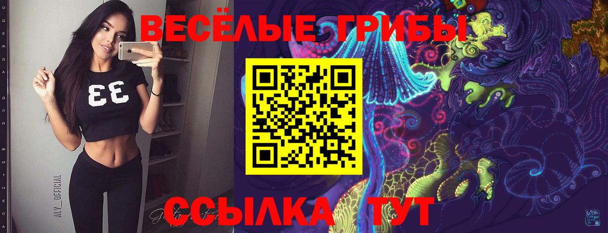 где купить наркоту  Галлюциногенные грибы прущие грибы  Вход с VPN  Чапаевск 